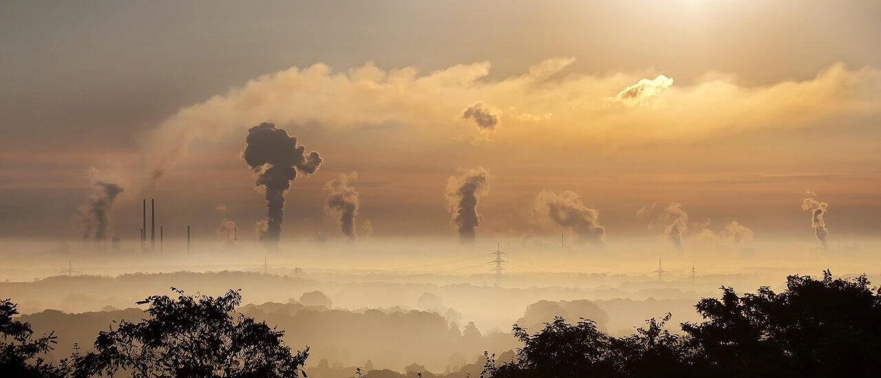 Pellet naturalnym paliwem grzewczym, JDM Majda